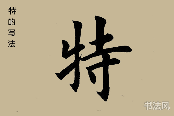 特字楷书怎么写