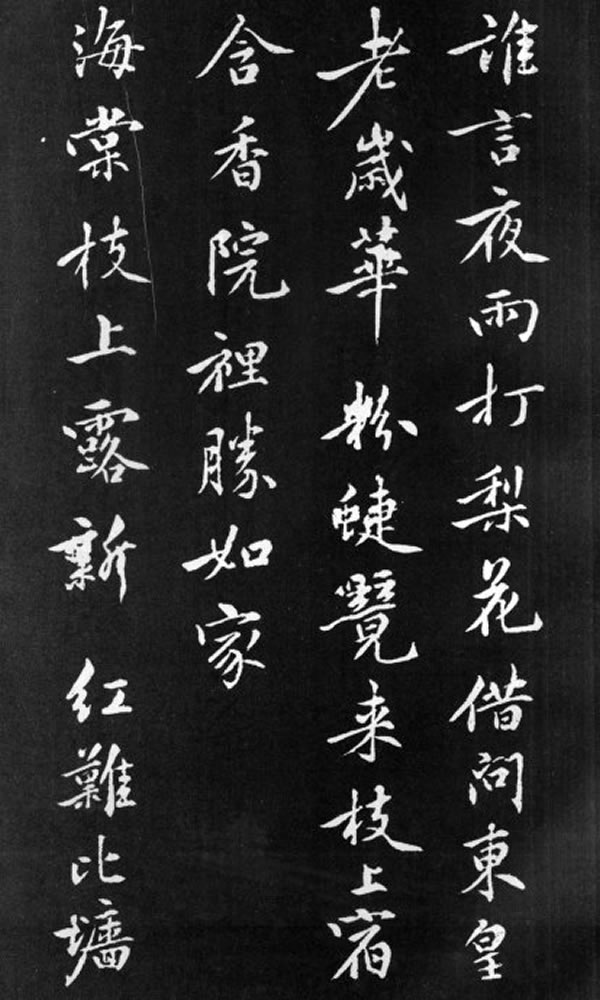 《梨花诗》