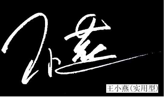 实用型签名