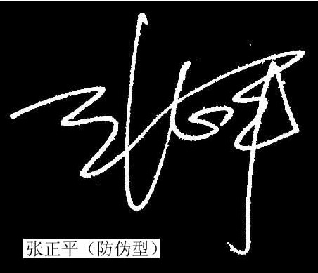 防伪型签名