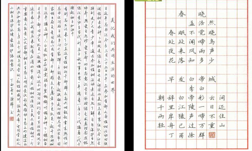  成年人练好钢笔字的技巧有哪些？（技巧分享） 练字方法 第2张