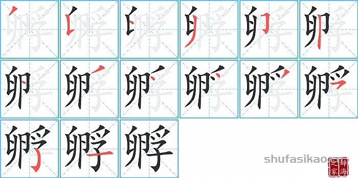 孵的笔顺、笔画