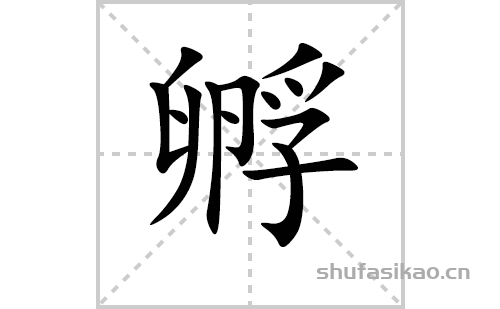 孵的笔顺笔画怎么写(孵的拼音、部首、解释及成语解读)