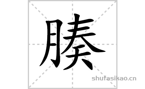 腠的笔顺笔画怎么写(腠的拼音、部首、解释及成语解读)