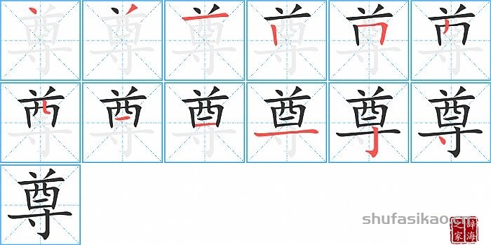 尊的笔顺、笔画