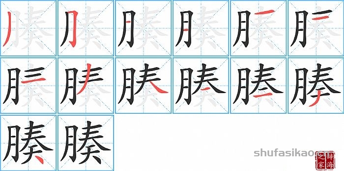 腠的笔顺、笔画