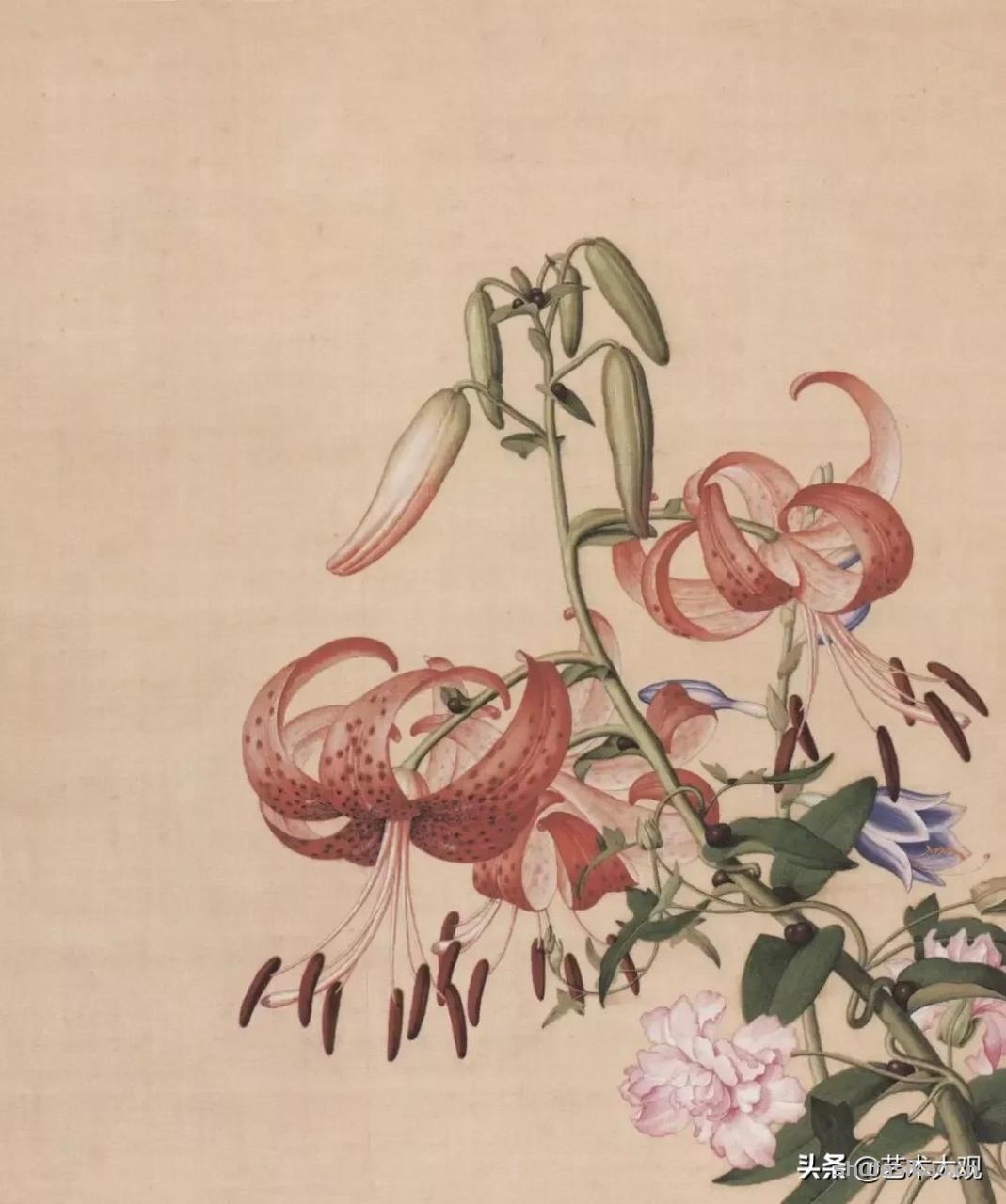 洋画家郎世宁学工笔画入职清宫御用画师花鸟作品精致生动-书法思考网 洋画家郎世宁学工笔画入职清宫御用画师花鸟作品精致生动-书法思考网