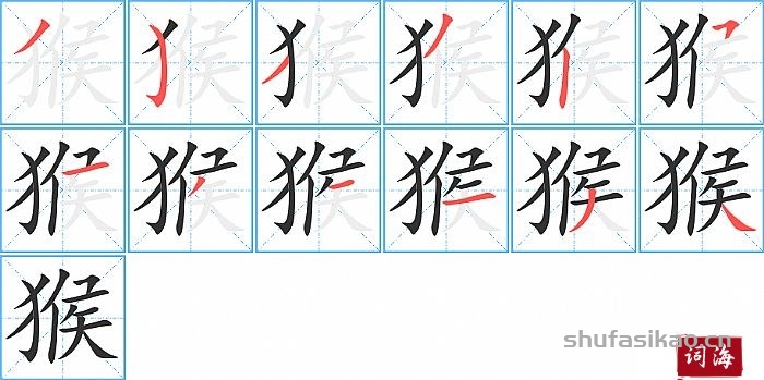 猴的笔顺、笔画