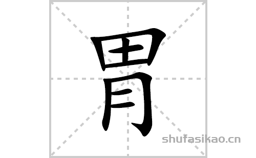 胃的笔顺笔画怎么写(胃的拼音、部首、解释及成语解读)