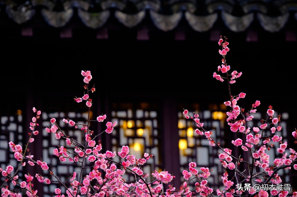 诗词解读:冬至明丽欢快诗词七首,正当爱日欲迎长,坐看红日上修廊-爱读书 诗词解读:冬至明丽欢快诗词七首,正当爱日欲迎长,坐看红日上修廊-爱读书