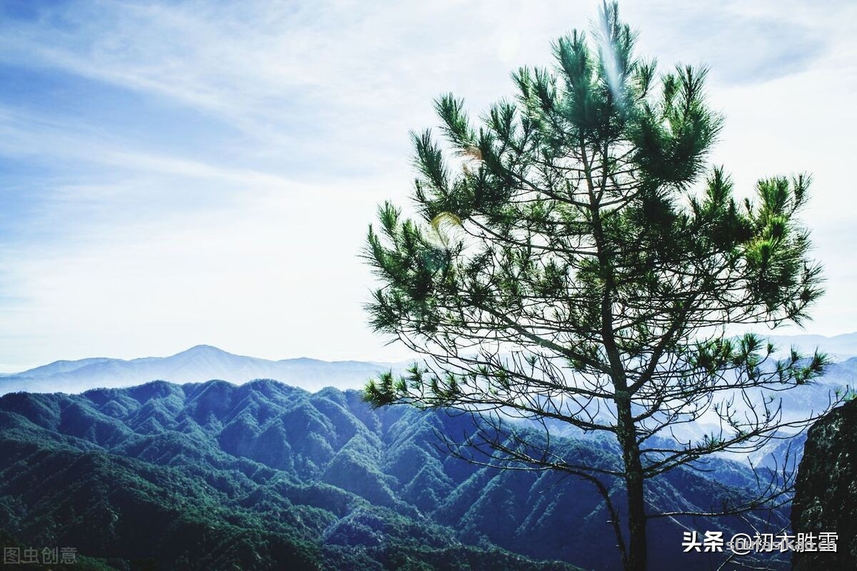 诗词解读:雪晴明丽古诗五首,寒树雪晴红艳吐,远山云晓翠光来-爱读书 诗词解读:雪晴明丽古诗五首,寒树雪晴红艳吐,远山云晓翠光来-爱读书