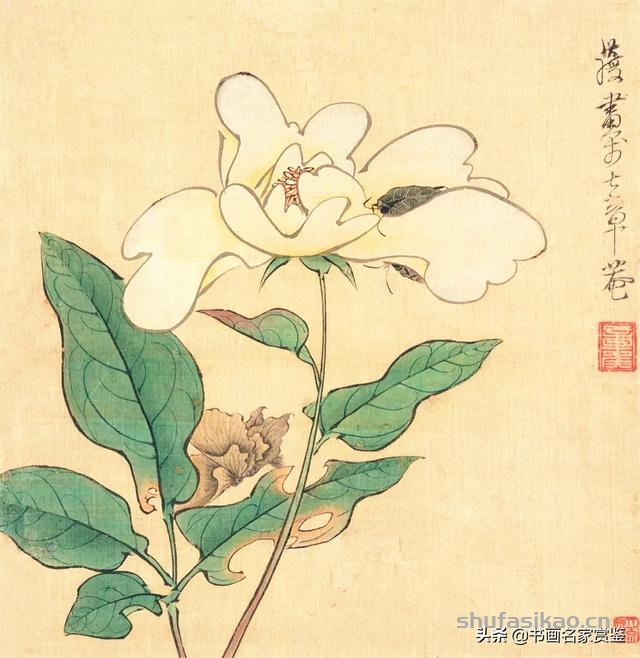 国宝书画：现藏 四川博物院，陈洪绶 传世《花卉八开册页》赏析-书法思考网