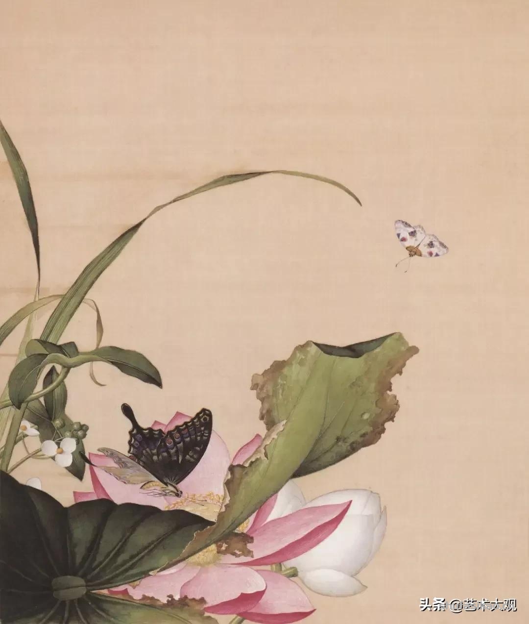 洋画家郎世宁学工笔画入职清宫御用画师花鸟作品精致生动-书法思考网 洋画家郎世宁学工笔画入职清宫御用画师花鸟作品精致生动-书法思考网