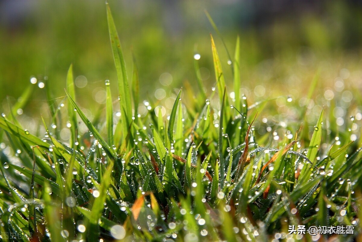 诗词解读:温柔冬雨五首,重阴润九野,小雨纷微微,枯木逢沾湿,欣欣欲向荣-爱读书 诗词解读:温柔冬雨五首,重阴润九野,小雨纷微微,枯木逢沾湿,欣欣欲向荣-爱读书