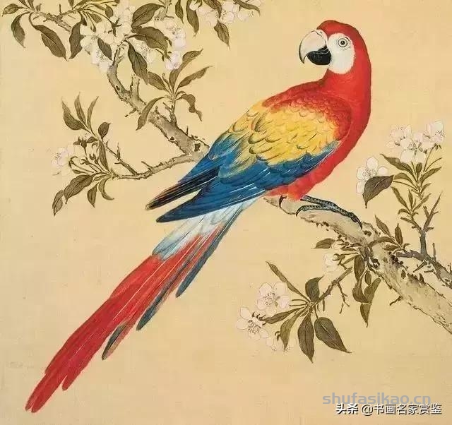 清宫藏顶级花鸟谱，如今一部分在台湾，一部分依然珍藏在北京故宫-书法思考网