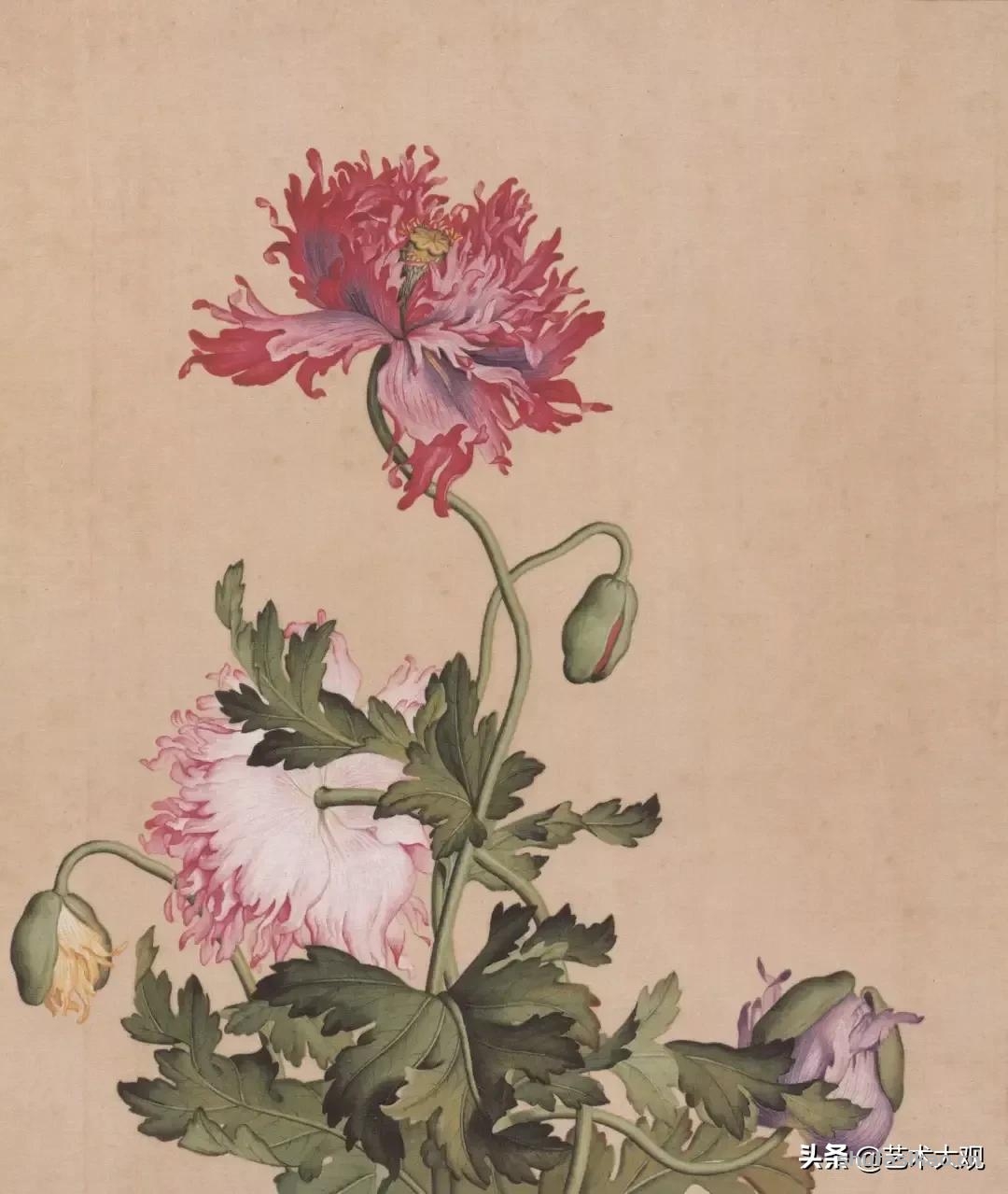 洋画家郎世宁学工笔画入职清宫御用画师花鸟作品精致生动-书法思考网 洋画家郎世宁学工笔画入职清宫御用画师花鸟作品精致生动-书法思考网