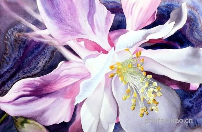 花与光的碰撞，她的水彩画不仅细腻灵敏，还原了花卉的芬芳形态-书法思考网
