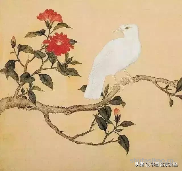 清宫藏顶级花鸟谱，如今一部分在台湾，一部分依然珍藏在北京故宫-书法思考网