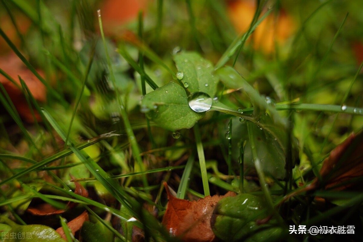 诗词解读:温柔冬雨五首,重阴润九野,小雨纷微微,枯木逢沾湿,欣欣欲向荣-爱读书 诗词解读:温柔冬雨五首,重阴润九野,小雨纷微微,枯木逢沾湿,欣欣欲向荣-爱读书