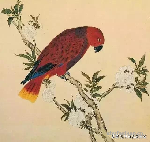 清宫藏顶级花鸟谱，如今一部分在台湾，一部分依然珍藏在北京故宫-书法思考网
