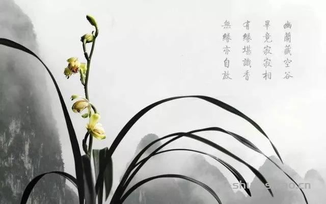 传世《墨兰图》：无根无土，有情有义​-书法思考网