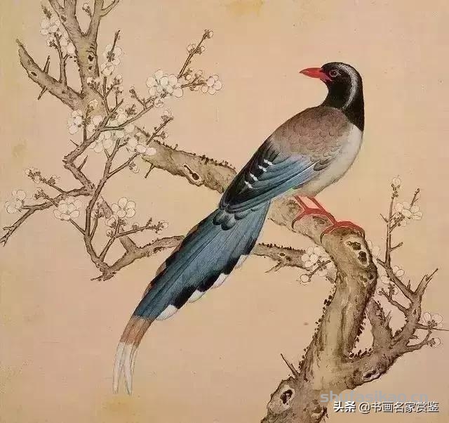 清宫藏顶级花鸟谱，如今一部分在台湾，一部分依然珍藏在北京故宫-书法思考网