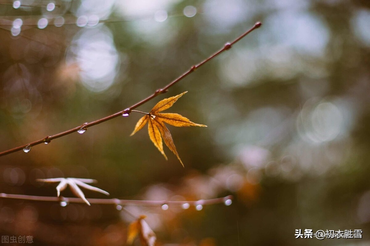 诗词解读:温柔冬雨五首,重阴润九野,小雨纷微微,枯木逢沾湿,欣欣欲向荣-爱读书 诗词解读:温柔冬雨五首,重阴润九野,小雨纷微微,枯木逢沾湿,欣欣欲向荣-爱读书