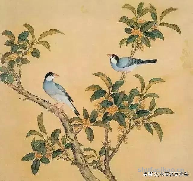 清宫藏顶级花鸟谱，如今一部分在台湾，一部分依然珍藏在北京故宫-书法思考网