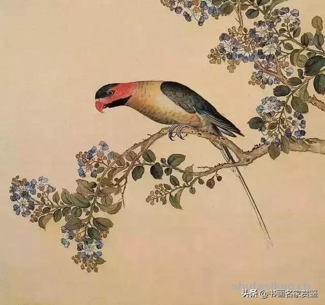 清宫藏顶级花鸟谱，如今一部分在台湾，一部分依然珍藏在北京故宫-书法思考网