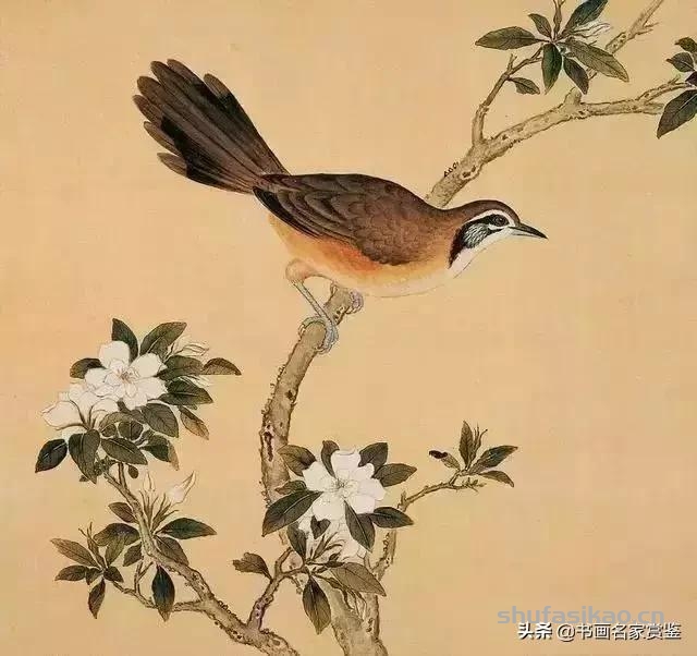 清宫藏顶级花鸟谱，如今一部分在台湾，一部分依然珍藏在北京故宫-书法思考网