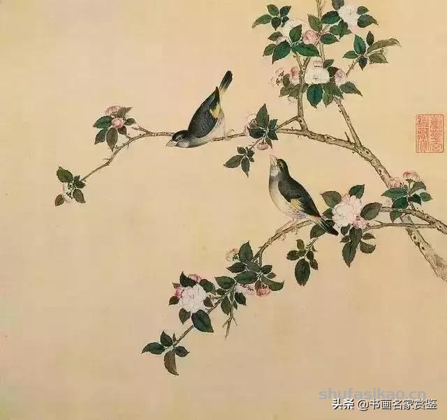 清宫藏顶级花鸟谱，如今一部分在台湾，一部分依然珍藏在北京故宫-书法思考网