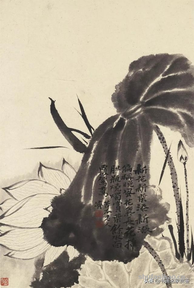 对后世的绘画思想有着非常重要的影响的 石涛 十开花卉册页 雅赏-书法思考网