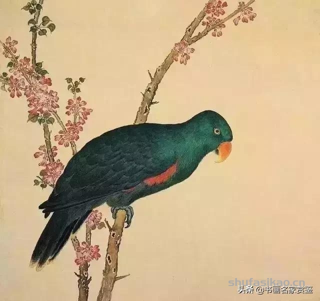 清宫藏顶级花鸟谱，如今一部分在台湾，一部分依然珍藏在北京故宫-书法思考网