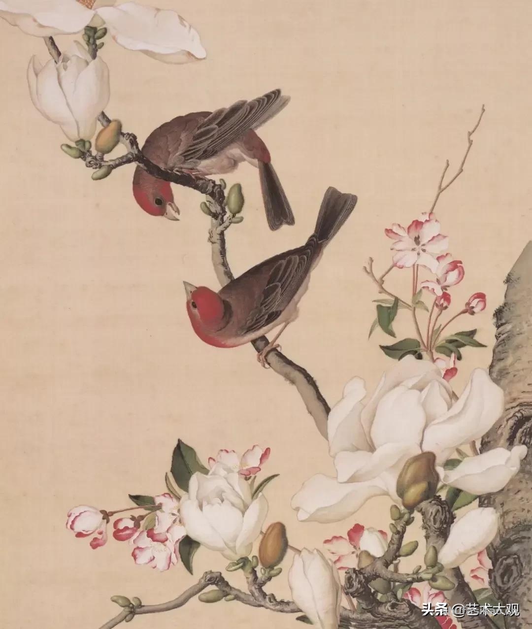 洋画家郎世宁学工笔画入职清宫御用画师花鸟作品精致生动-书法思考网 洋画家郎世宁学工笔画入职清宫御用画师花鸟作品精致生动-书法思考网