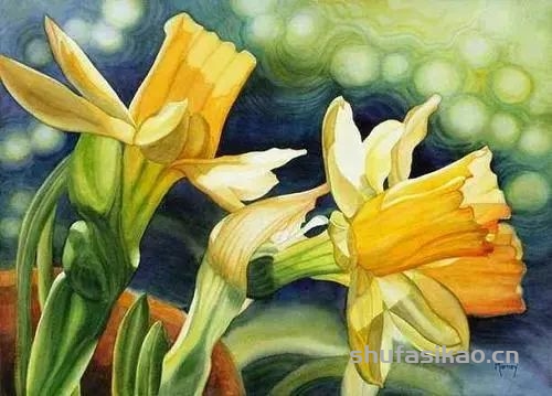 花与光的碰撞，她的水彩画不仅细腻灵敏，还原了花卉的芬芳形态-书法思考网