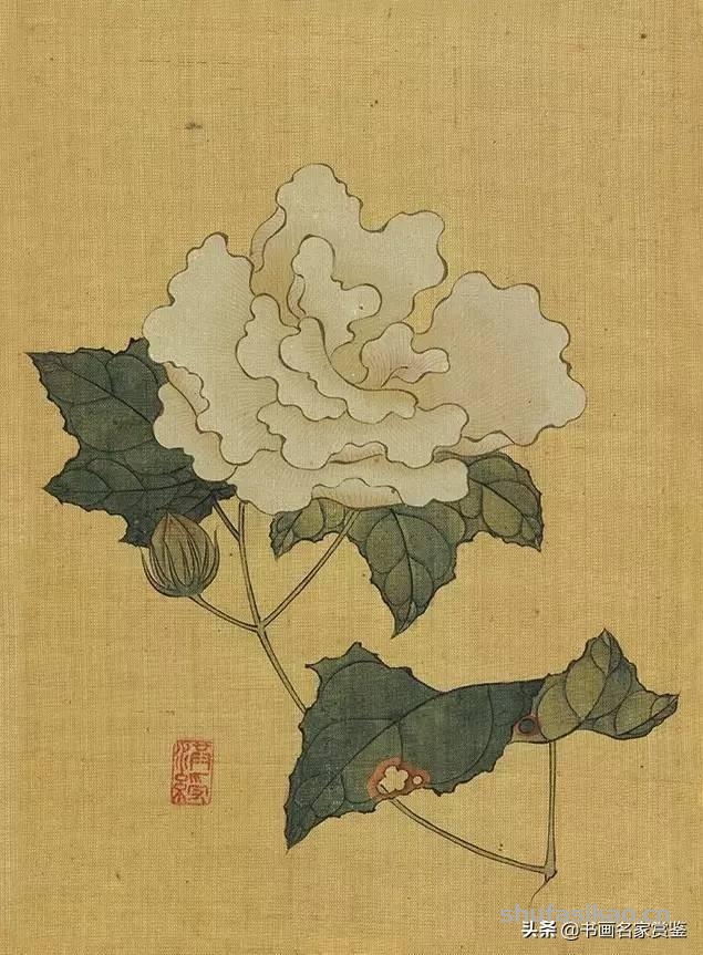 国宝书画：陈洪绶 传世《花鸟草虫写生册》十二开，赏读-书法思考网