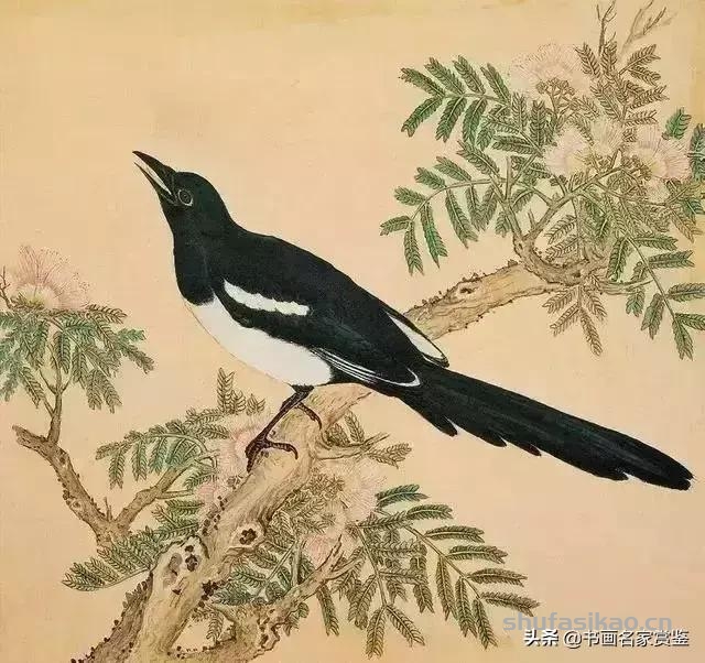 清宫藏顶级花鸟谱，如今一部分在台湾，一部分依然珍藏在北京故宫-书法思考网