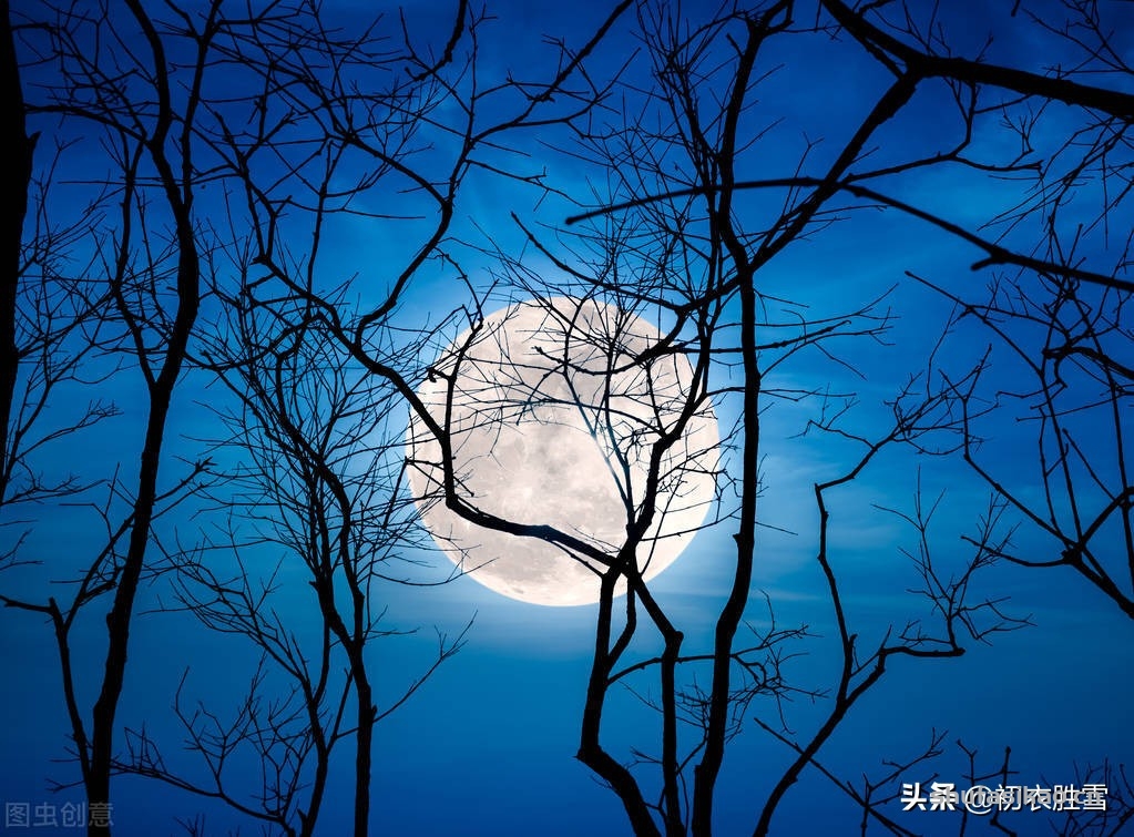 诗词解读：寒夜相思四首赏读：相思无由理，况此寒夜长-爱读书