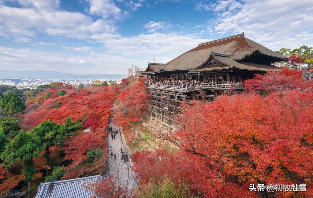 诗词解读：早冬红树美诗六首赏读：一山红树寺边多，满川红树夕阳斜-爱读书