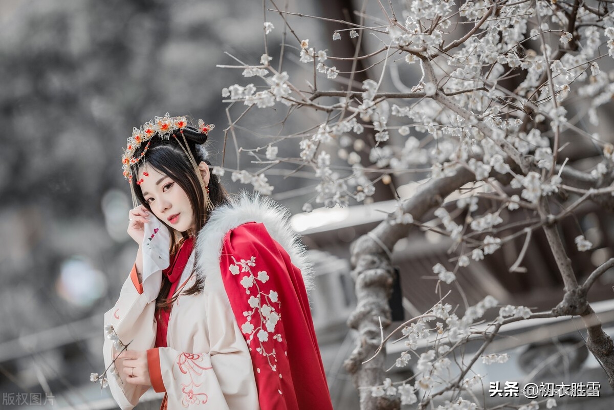 诗词解读:冬日相逢古诗五首,看看那在冬天里,令人高兴的相逢-爱读书 诗词解读:冬日相逢古诗五首,看看那在冬天里,令人高兴的相逢-爱读书