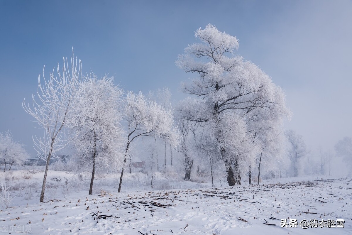 诗词解读：诗僧函可雪诗两首：我心与雪何相似，雪来见我如有情-爱读书