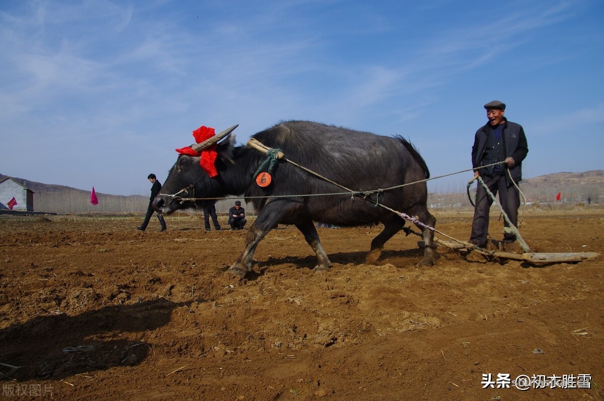 诗词解读:仲冬冬耕古诗六首,乡邻无事冬耕罢,独倚篱门数过牛-爱读书 诗词解读:仲冬冬耕古诗六首,乡邻无事冬耕罢,独倚篱门数过牛-爱读书