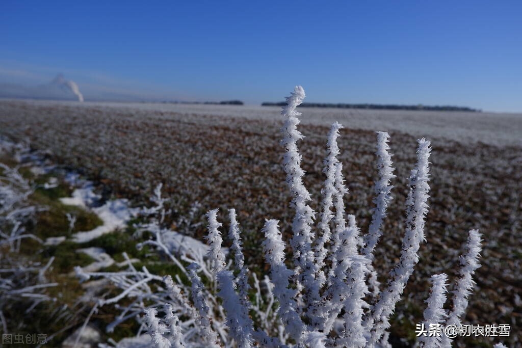 诗词解读：待雪古诗五首，古人盼望下雪的心情，可比我们强烈-爱读书