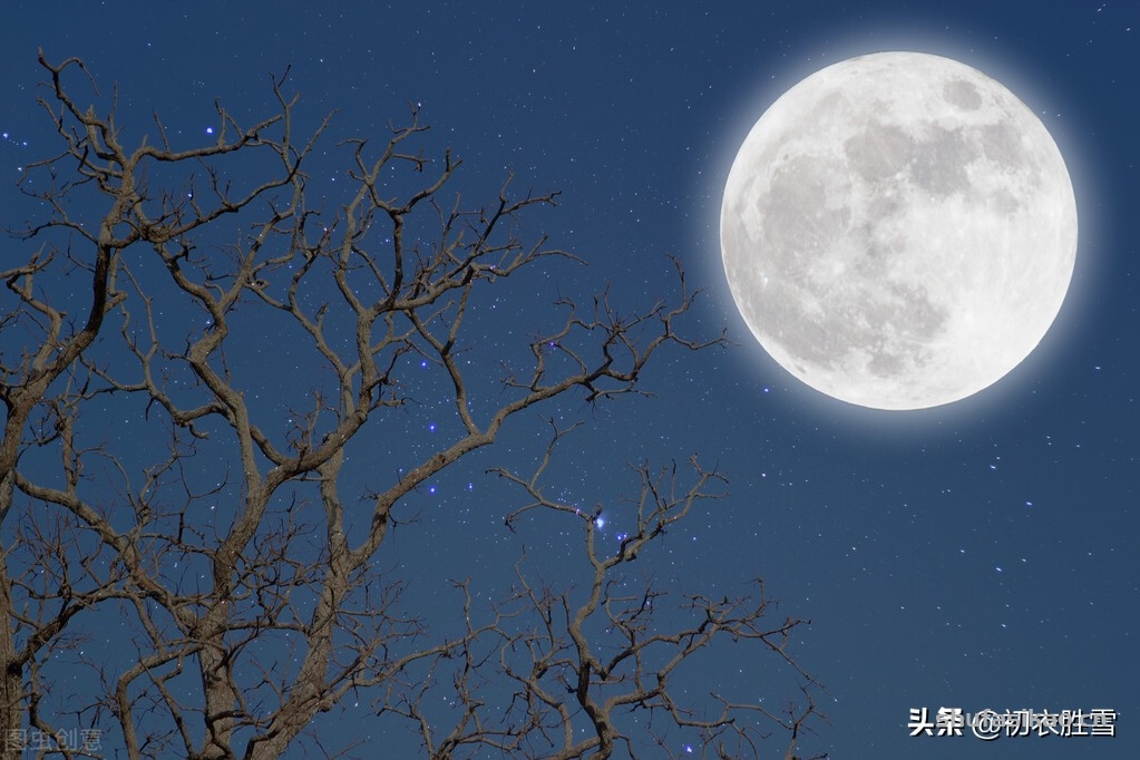 诗词解读：寒夜相思四首赏读：相思无由理，况此寒夜长-爱读书