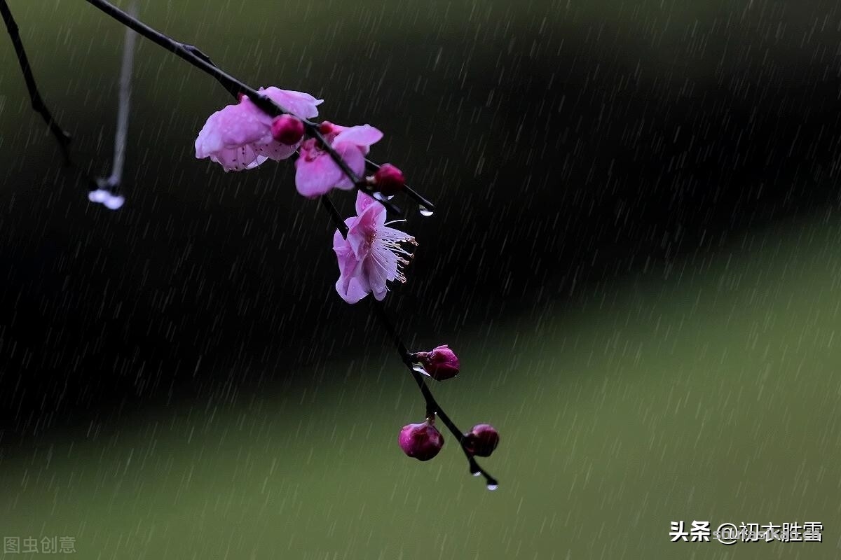 诗词解读:黄景仁情诗两首赏读,百转千回,相思不灭-爱读书 诗词解读:黄景仁情诗两首赏读,百转千回,相思不灭-爱读书