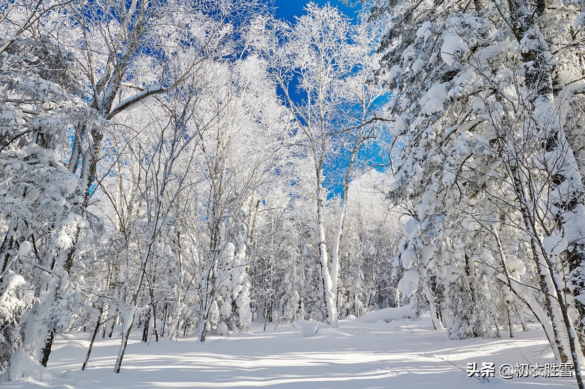 诗词解读：诗僧函可雪诗两首：我心与雪何相似，雪来见我如有情-爱读书