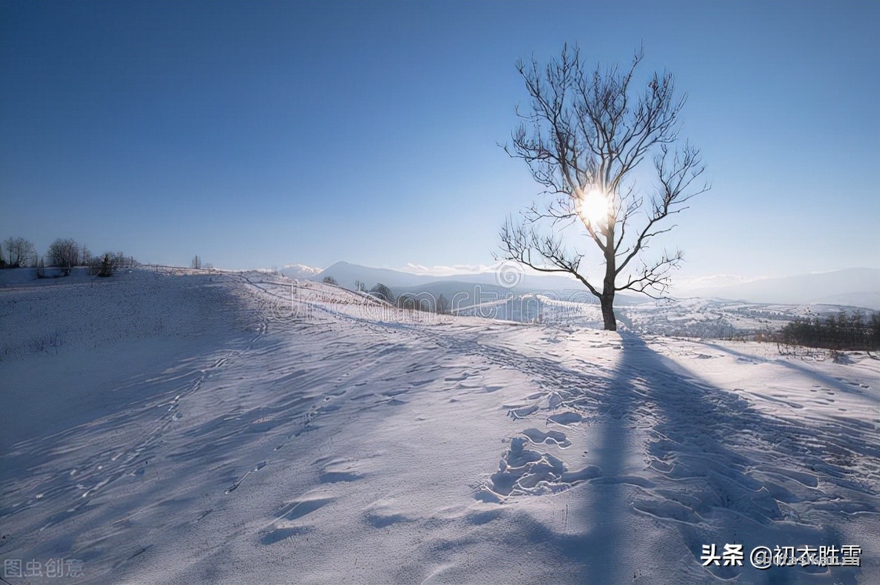 诗词解读：仲冬美诗六首，枇杷著花当仲冬，梅小初开昨夜风-爱读书