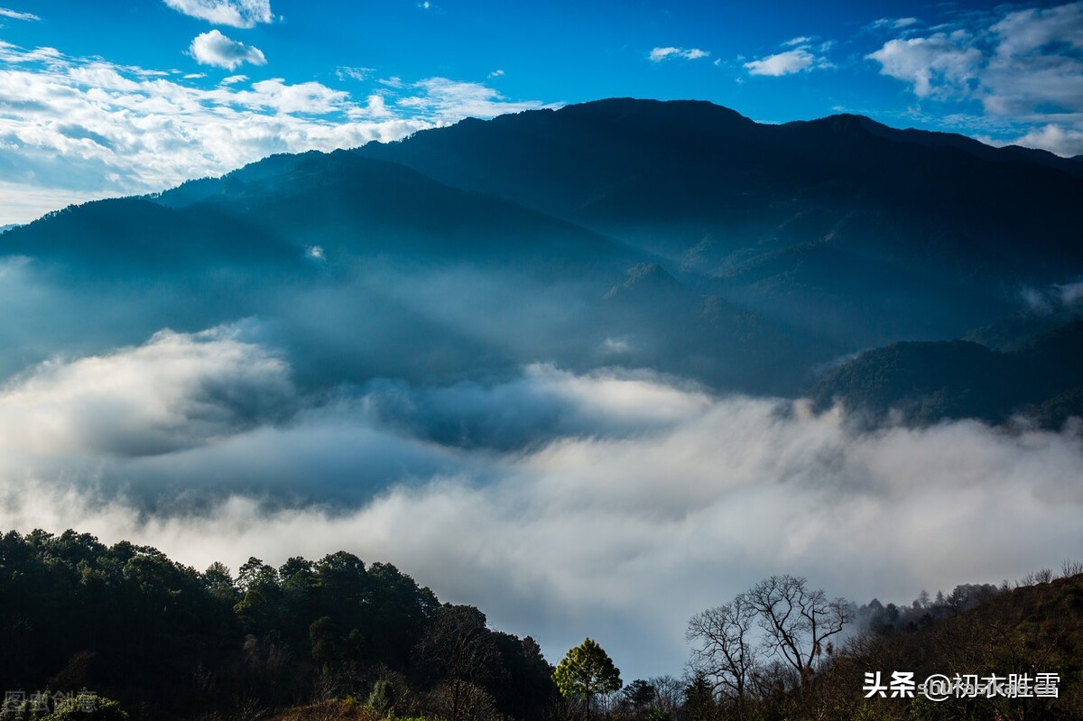 诗词解读:哀牢山古诗五首:哀牢山头老松几万本,松花松叶落地如铺毡-爱读书 诗词解读:哀牢山古诗五首:哀牢山头老松几万本,松花松叶落地如铺毡-爱读书