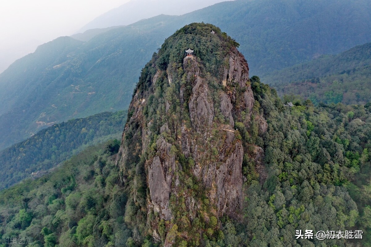 诗词解读:哀牢山古诗五首:哀牢山头老松几万本,松花松叶落地如铺毡-爱读书 诗词解读:哀牢山古诗五首:哀牢山头老松几万本,松花松叶落地如铺毡-爱读书