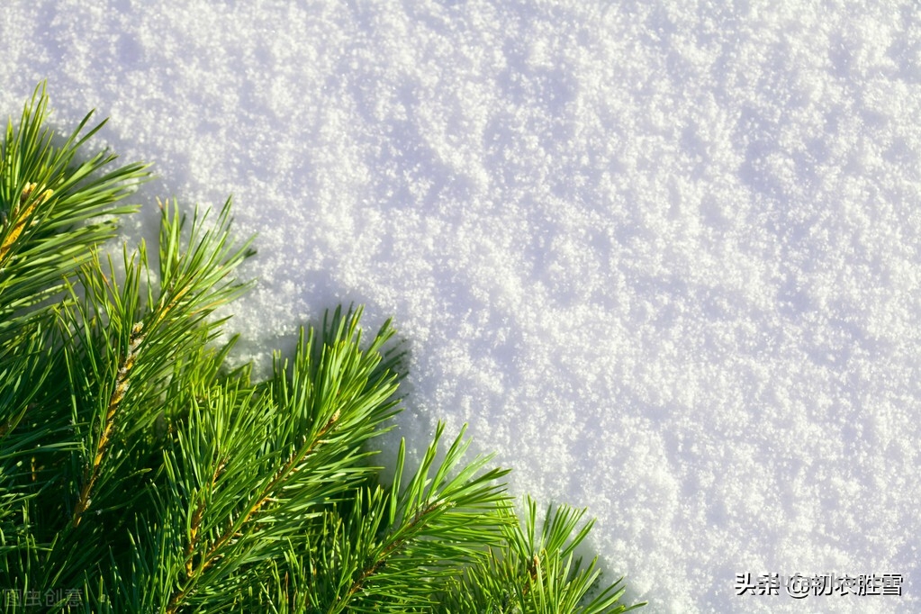 诗词解读：雪意古诗六首：弹罢蕊珠香满座，天花几个落瑶琴-爱读书